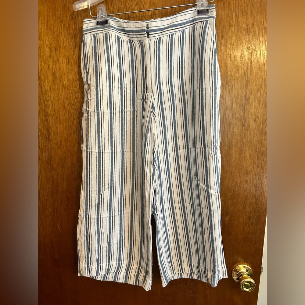 Loft pants